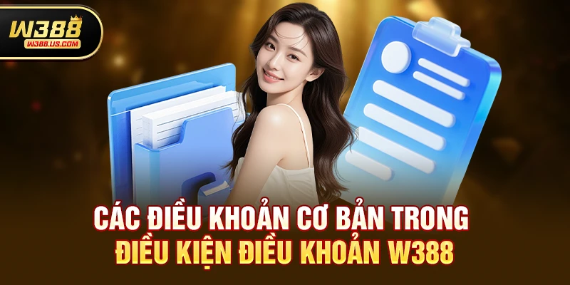 Các điều khoản cơ bản trong Điều kiện điều khoản w388