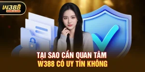 w388 có uy tín không - Đánh giá chi tiết để bạn yên tâm trải nghiệm